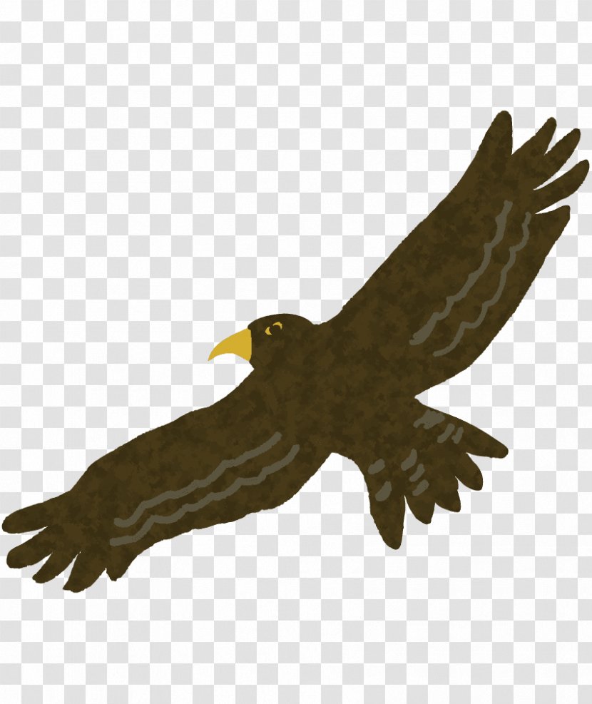 Eagle Hawk Buzzard Hatsuyume Transparent PNG