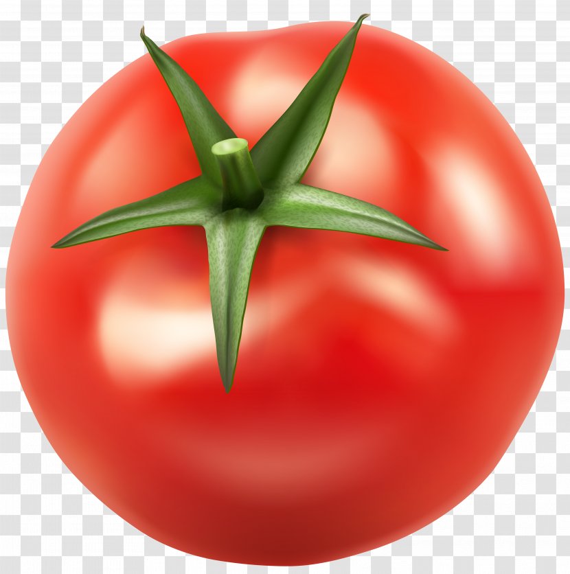 Vegetable Bush Tomato Food Clip Art - Potato And Genus Transparent PNG