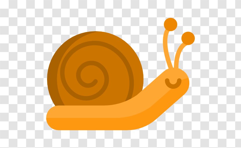 Snail - Snails And Slugs Transparent PNG