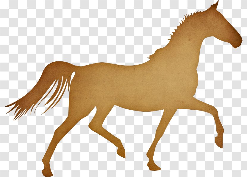 Pony Arabian Horse Trot Cap Equestrian - Animal Figure Transparent PNG