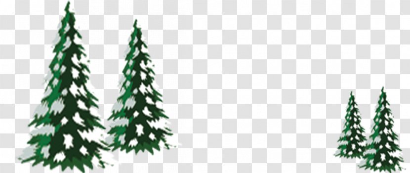 Christmas Tree Ornament - Fir - Trees And More Transparent PNG
