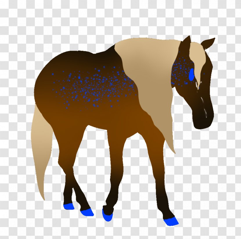 Mule Foal Stallion Halter Mare - Neck - Mustang Transparent PNG