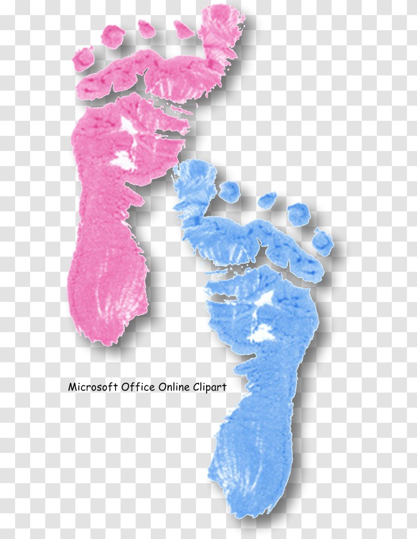 Organism Foot Font Transparent PNG