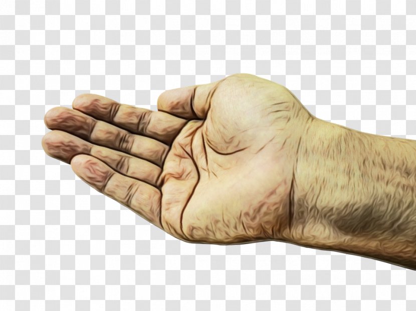 Hand Finger Gesture Human Thumb - Watercolor Transparent PNG