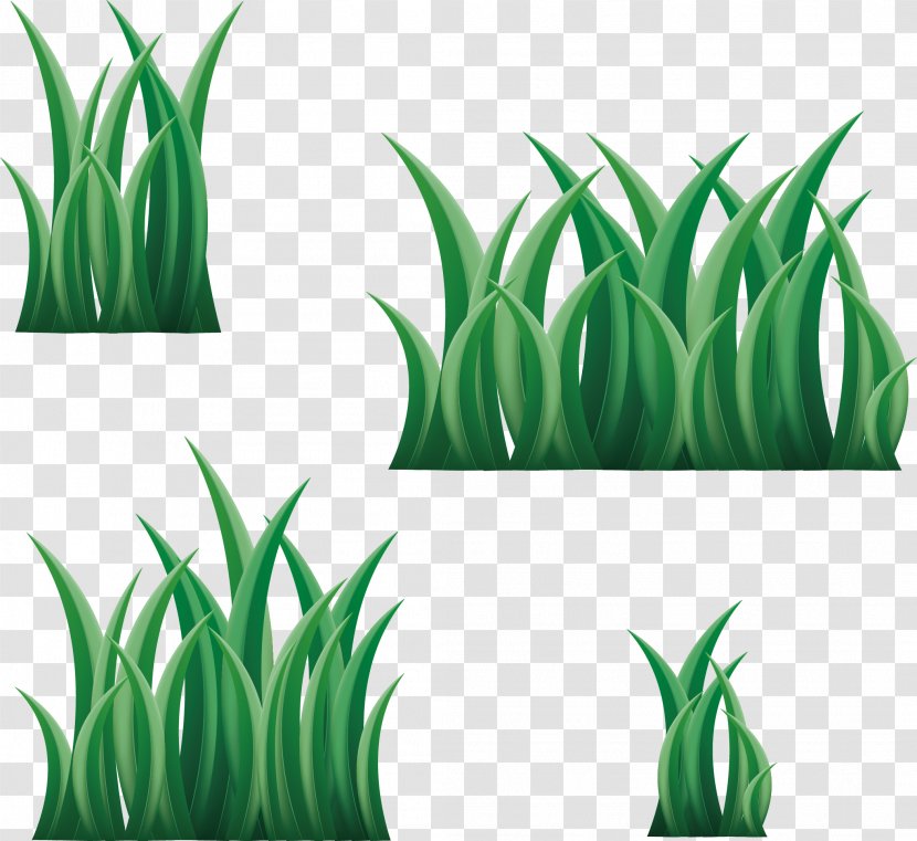 3D Computer Graphics - Leaf - Bright Grass Transparent PNG