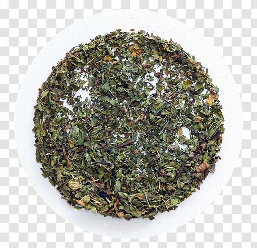 Green Tea Tieguanyin Nilgiri Matcha - Shincha Transparent PNG