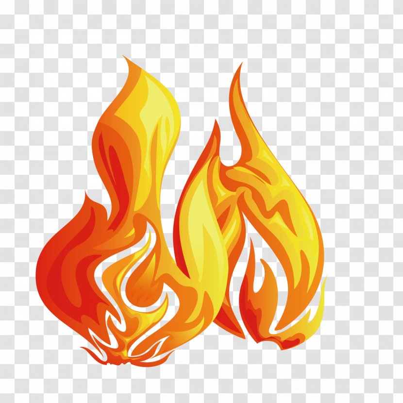 Flame Fireworks Illustration Transparent PNG