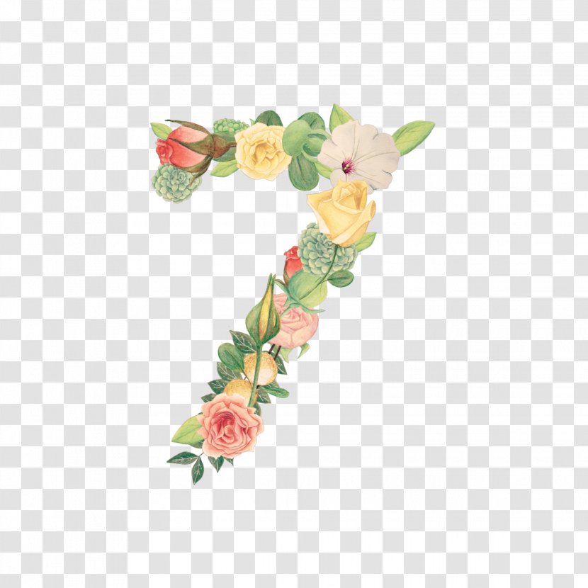 Cut Flowers Floral Design Petal Number - Flowering Plant - Flower Transparent PNG