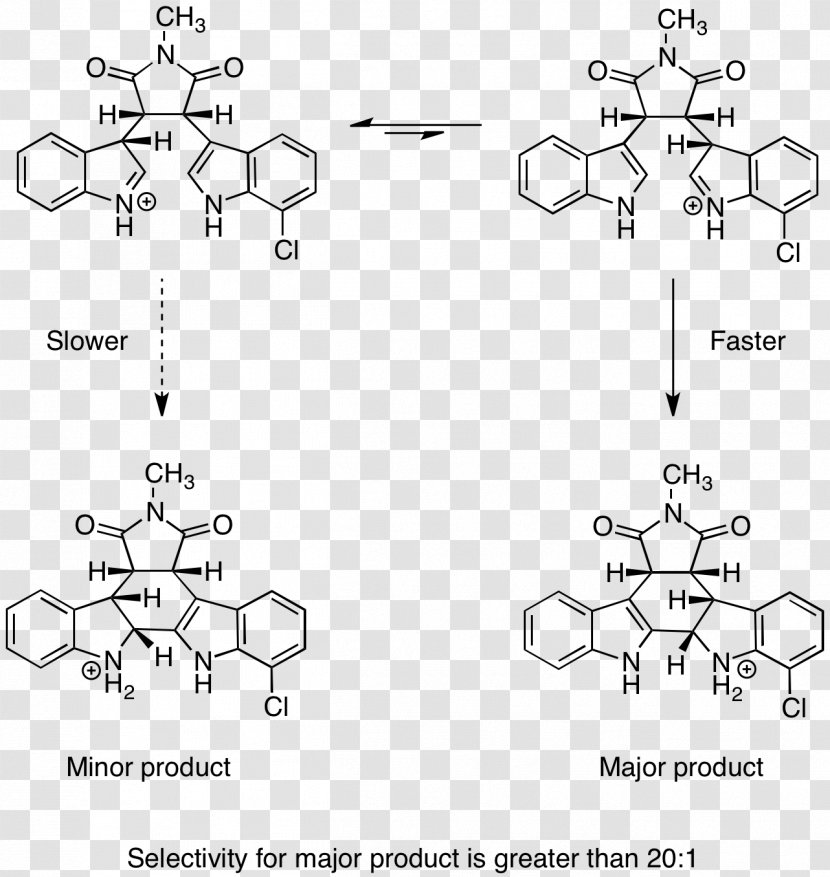 Curtin–Hammett Principle Chemical Reaction Kinetics Total Synthesis Chemistry - Silhouette - Frame Transparent PNG