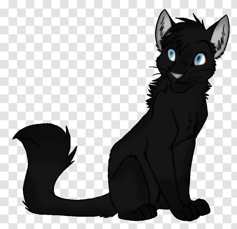 Bombay Cat Korat Black Whiskers Kitten Transparent PNG