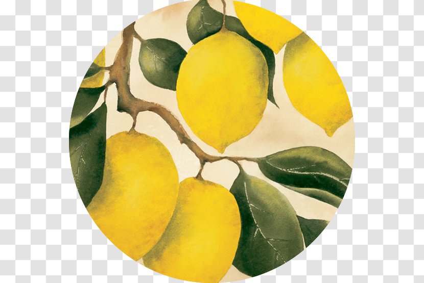 Lemon Citron Orchard Fruit Transparent PNG