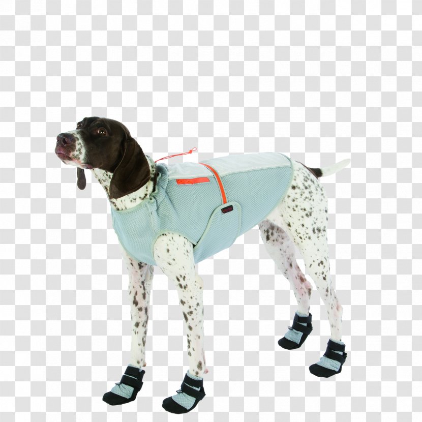 Dog Breed Booties Waistcoat - Pet Transparent PNG