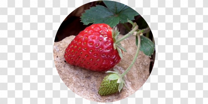 Strawberry Food Fruit Juice Breakfast - Leaf Vegetable - Real Strawberries Transparent PNG