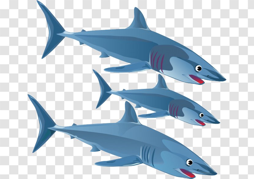 Blue Shark Great White Clip Art - Fish - Three Transparent PNG