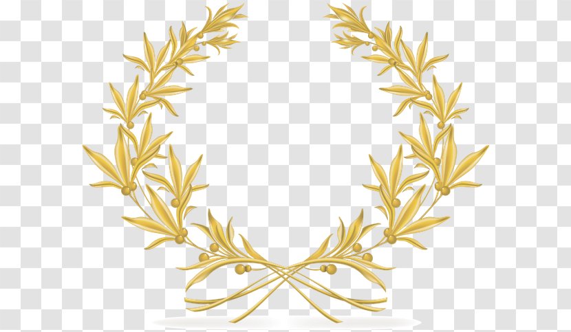 Olive Wreath Laurel Branch Transparent PNG