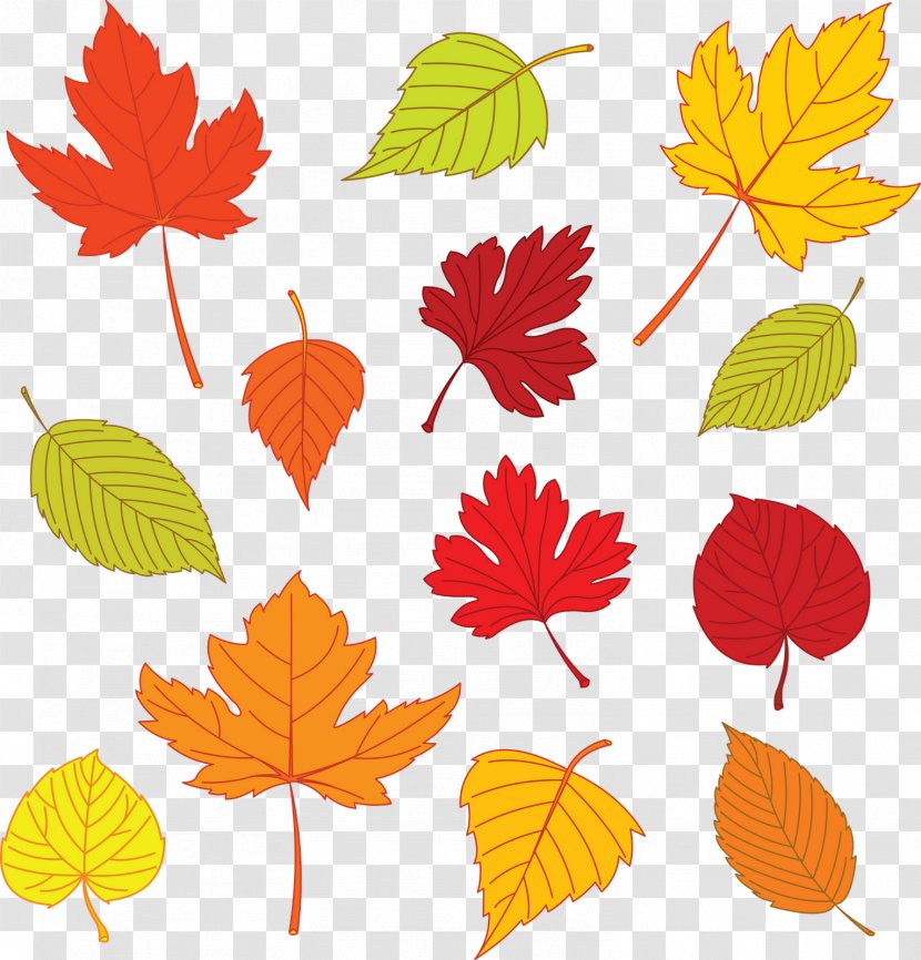 Autumn Leaf Color Clip Art - Orange - Leaves Transparent PNG