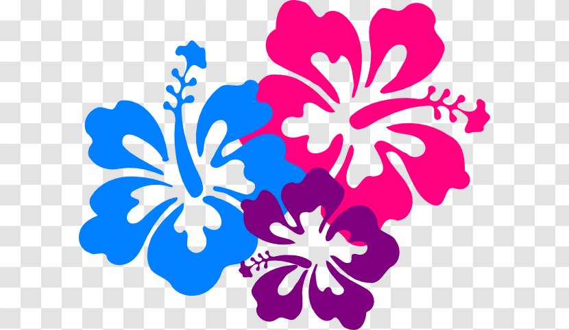 Hawaii Clip Art - Mallow Family - Tropical Border Cliparts Transparent PNG