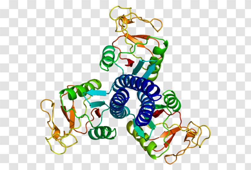 Pulmonary Surfactant Protein D A Lectin - Mannanbinding Transparent PNG