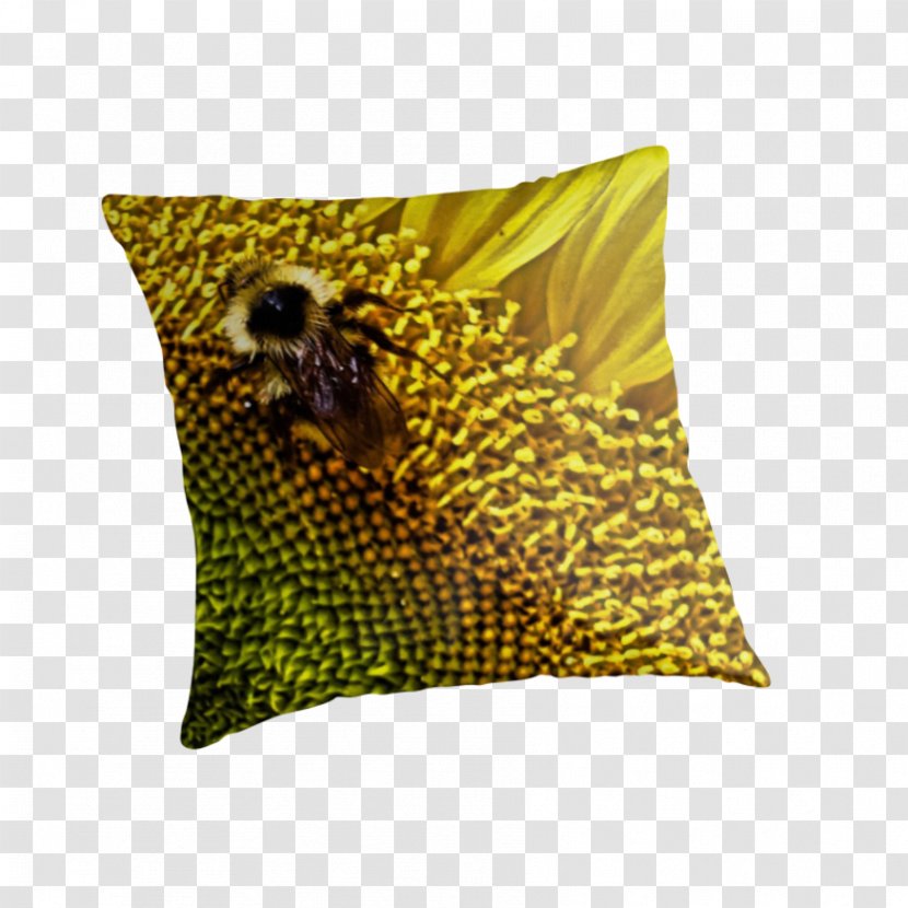 Honey Bee Cushion - Sunflower Decorative Material Transparent PNG