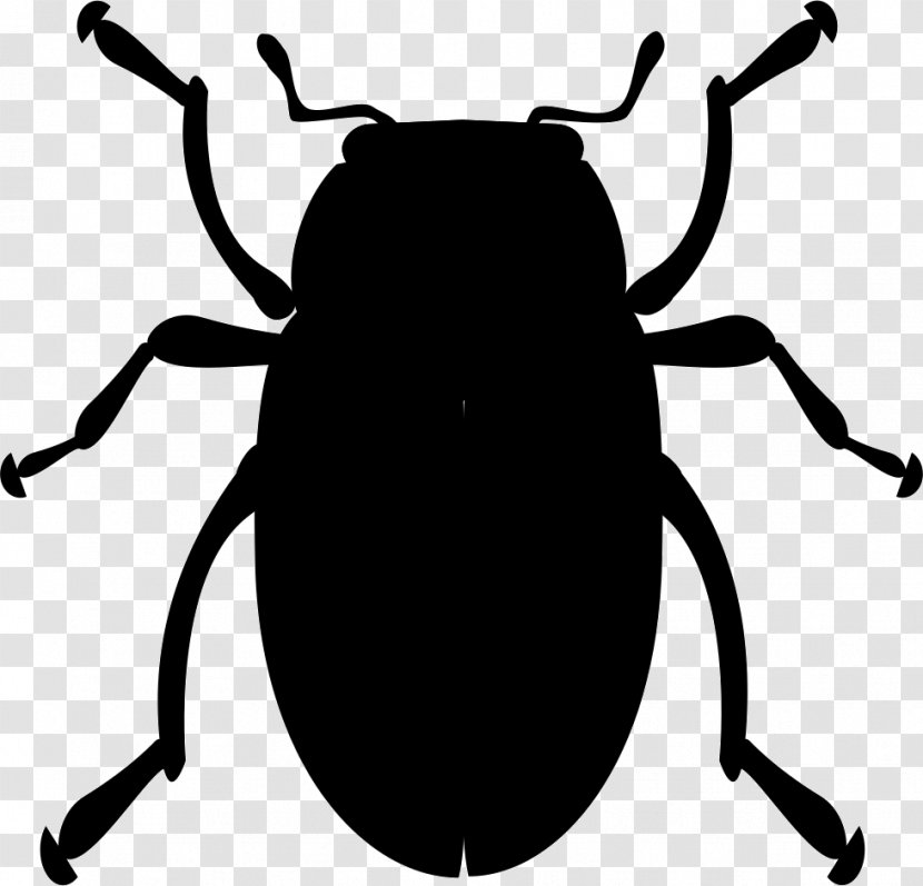 Volkswagen Beetle Ladybird Clip Art - Firefly - Insect Transparent PNG