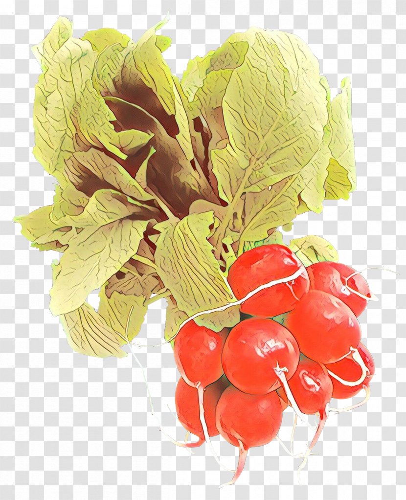 Vegetable Food Natural Foods Leaf Plant - Berry Superfood Transparent PNG