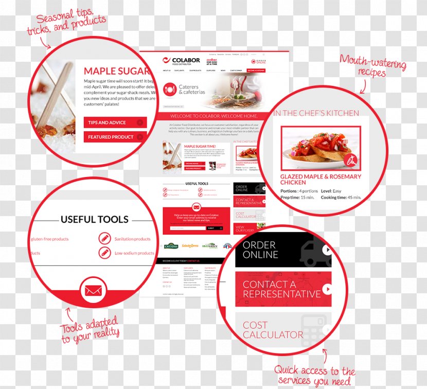 Brand Product Design Font - Area - Senior Care Flyer Transparent PNG