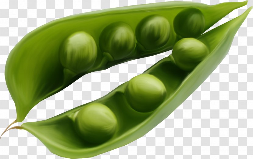 Green Pea Vegetarian Cuisine Ervilha Petit Pois Legume - Edamame Transparent PNG