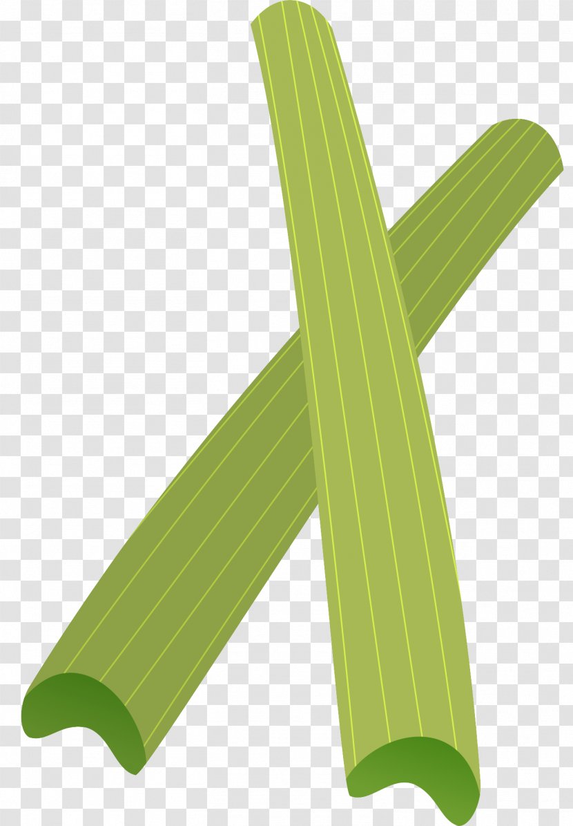 Wood /m/083vt Angle - Wing - Celery Transparent PNG