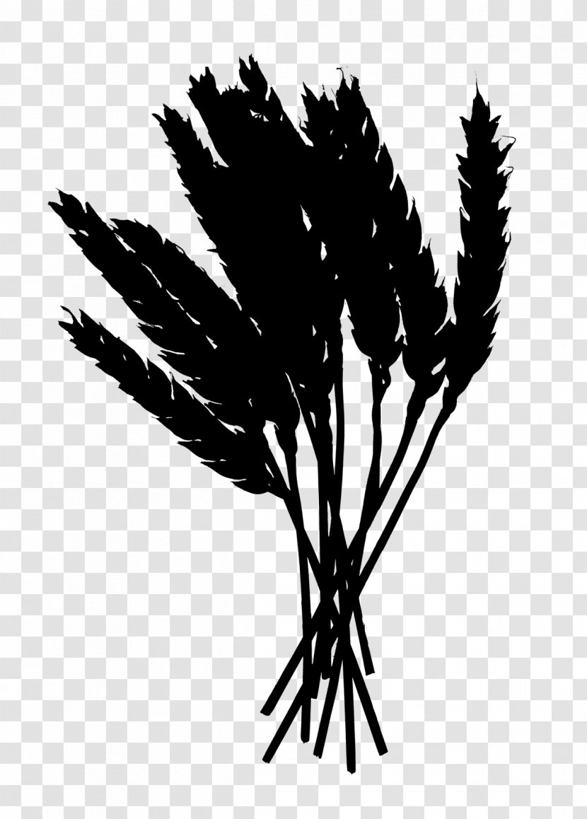 Palm Trees Black Leaf Plant Stem Silhouette - Commodity - Blackandwhite Transparent PNG