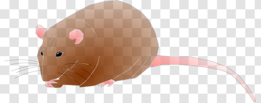Rat Clip Art Openclipart Rodent Computer Mouse - Snout - Seta Transparent PNG
