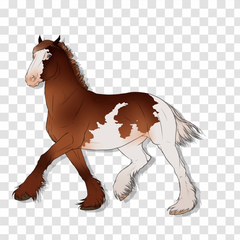 Mane Mustang Foal Stallion Colt - Horse - Canter And Gallop Transparent PNG