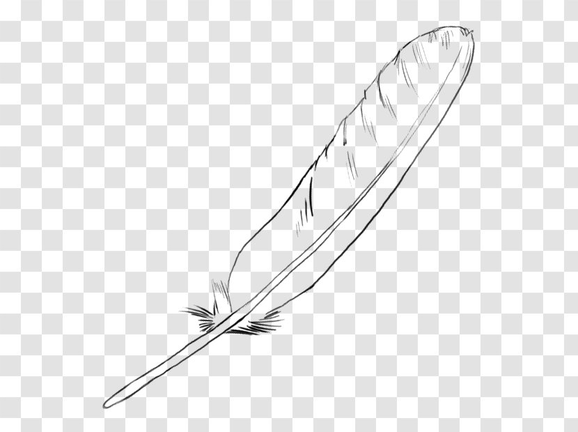 Feather Line Art Drawing - Black And White Transparent PNG