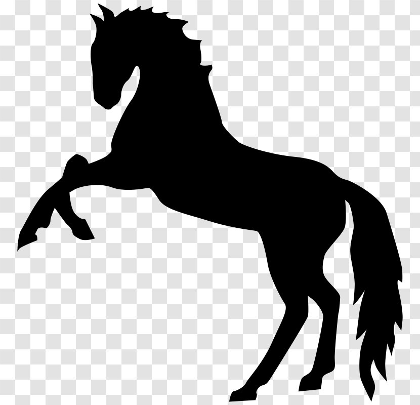Mustang Stallion Rearing Clip Art - Pony Transparent PNG