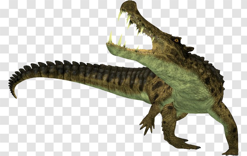 Crocodile Sarcosuchus Kaprosuchus Alligator Camptosaurus - Boar Transparent PNG