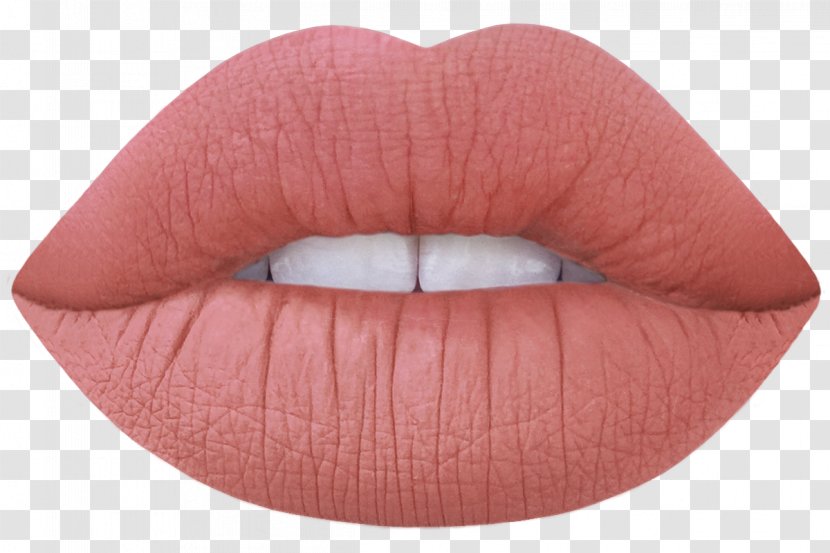 Lime Crime Velvetines Amazon.com Lipstick Cosmetics Lip Stain - Venus 8color Eyeshadow Palette Transparent PNG