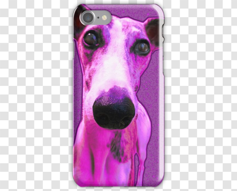 Italian Greyhound Whippet Dog Breed Snout - Sweet Peas Transparent PNG