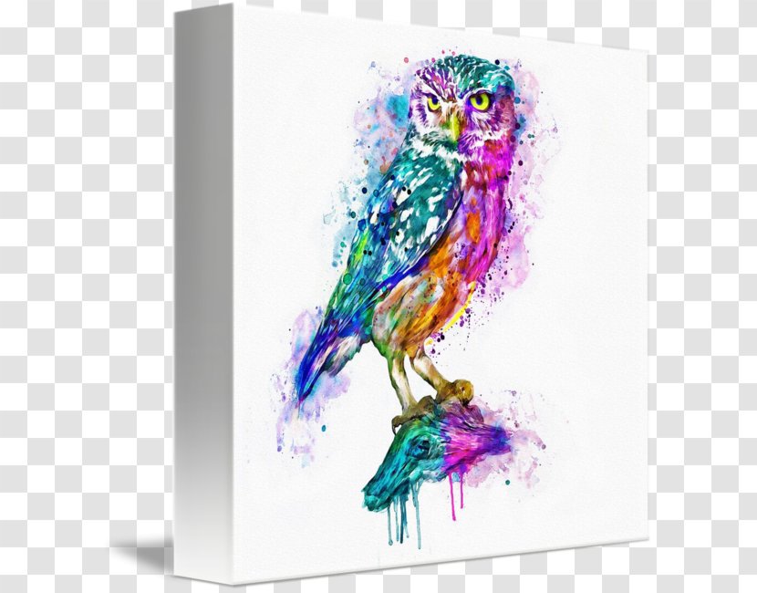 Owl Watercolor Painting Canvas Print Art - Printing - Colorful Transparent PNG