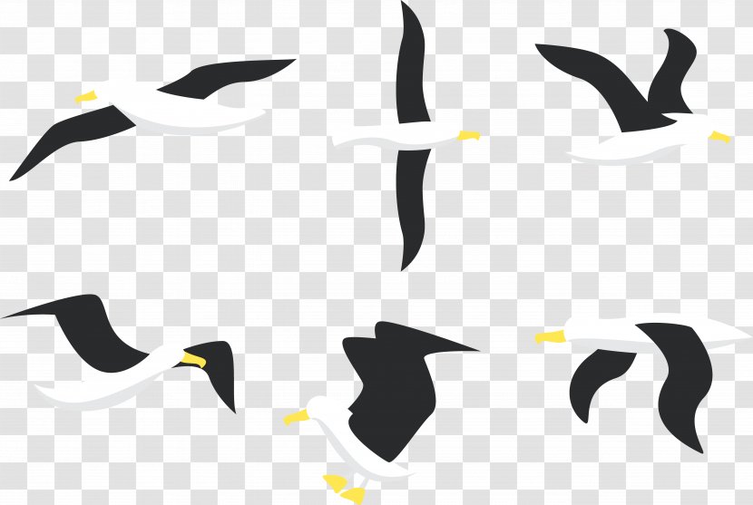 Penguin Bird Albatross Gulls - Brand - Flight Of The Transparent PNG