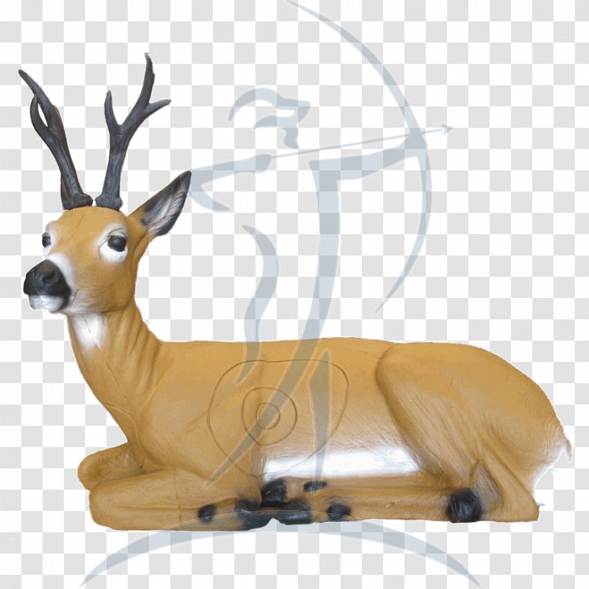 Shooting Targets Reindeer Roe Deer LongLife Liegender Rehbock Archery - Mammal Transparent PNG