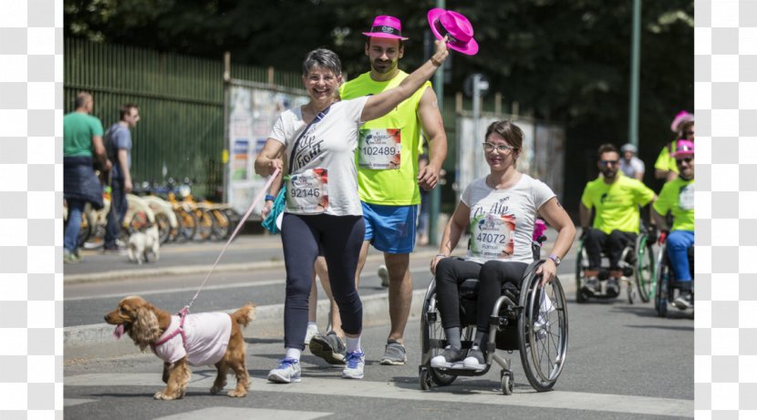 Long-distance Running Wheelchair Mammal Health Endurance - Festa Della Donna Transparent PNG