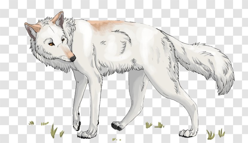 Gray Wolf Cat Fur Line Art Sketch Transparent PNG