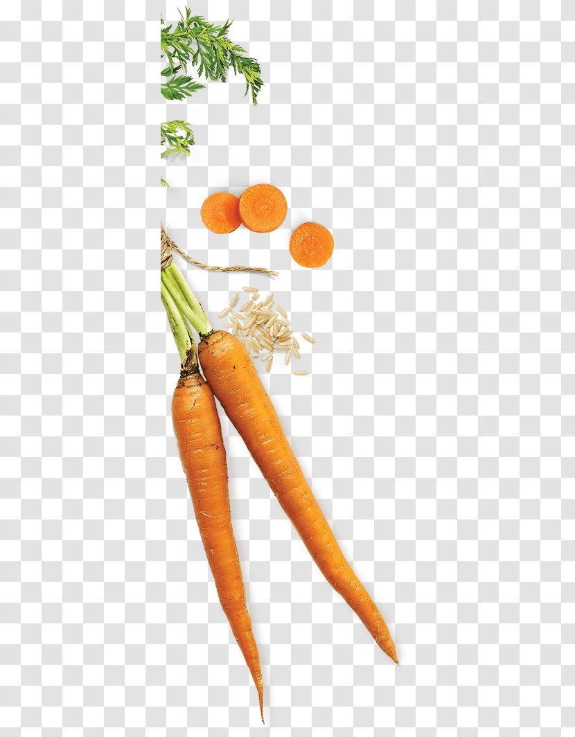 Baby Carrot Natural Foods - Bunch Of Carrots Transparent PNG