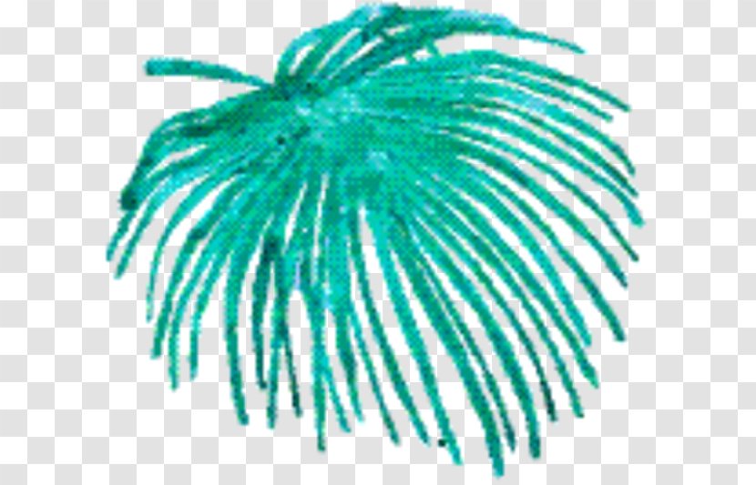 Green Background - Plant - Feather Transparent PNG