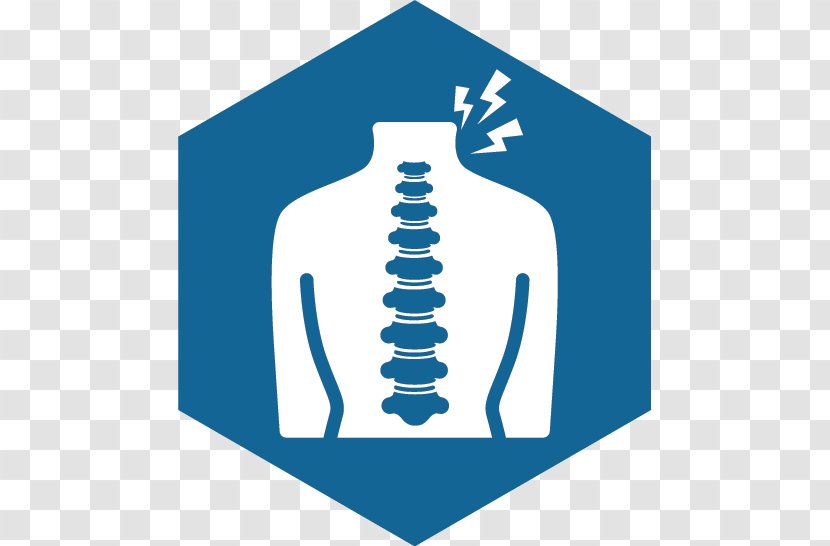 Radiculopathy Logo Cervical Vertebrae Q Spine Institute Vertebral Column - Neck Pain Transparent PNG