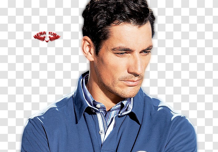 David Gandy Desktop Wallpaper T-shirt - Tshirt Transparent PNG