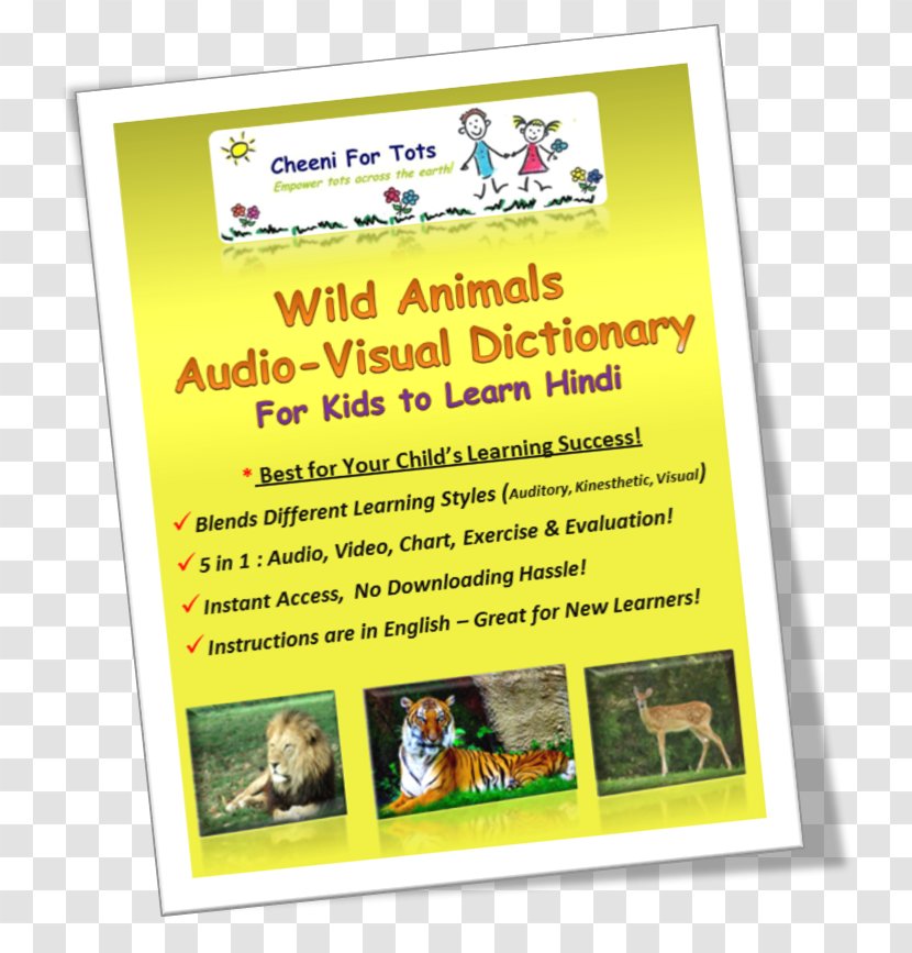 Advertising Recreation - Animals Vocabulary For Kids Transparent PNG