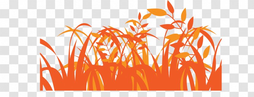 Euclidean Vector Afterglow - Grass Family - Orange Meadow Transparent PNG