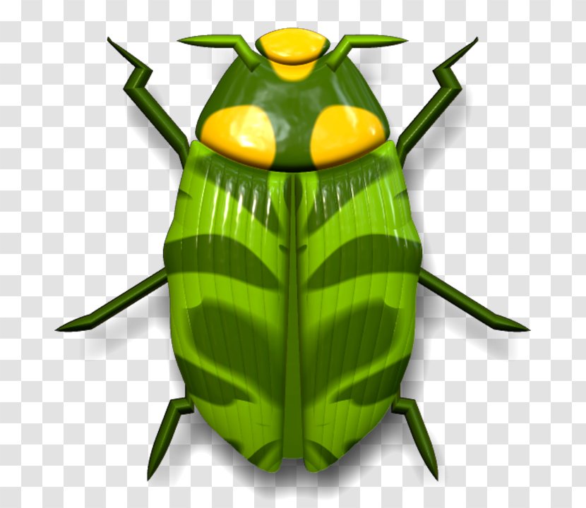 Insect Download Clip Art - Wing - Green Insects Transparent PNG