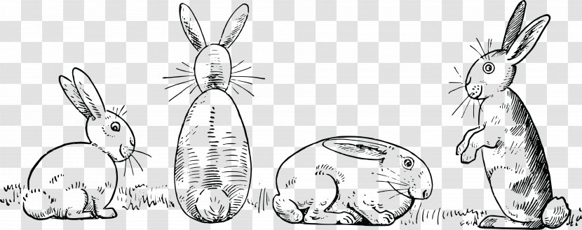 Draw 50 Animals Drawing Made Easy: A Helpful Book For Young Artists; The Way To Begin And Finish Your Sketches Clearly Shown Step By White Rabbit Clip Art - Tail - Bunny Transparent PNG