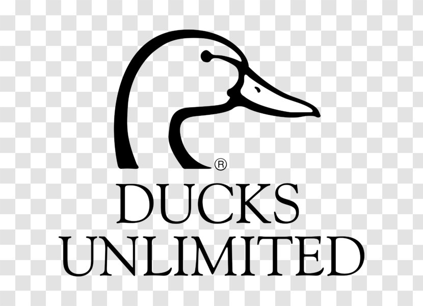 Ducks Unlimited Logo Water Bird Goose - Area - Duck Transparent PNG